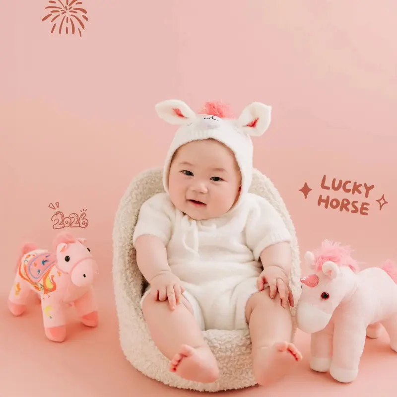 2026 Pink Horse Year Theme Set - Newborn Photography Props